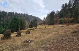 Teren extravilan 11.480 mp cu potențial intravilan – Trâncești, Scărișoara