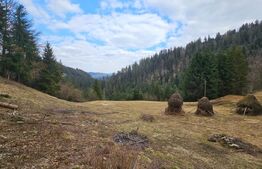 Teren extravilan 11.480 mp cu potențial intravilan – Trâncești, Scărișoara