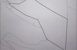 Teren extravilan 11.480 mp cu potențial intravilan – Trâncești, Scărișoara