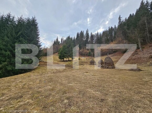 Teren de vânzare Scarisoara - 191923TV | BLITZ Alba Iulia | Poza2