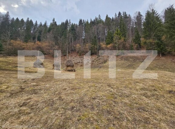 Teren de vânzare Scarisoara - 191923TV | BLITZ Alba Iulia | Poza4