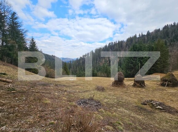 Teren de vânzare Scarisoara - 191923TV | BLITZ Alba Iulia | Poza3