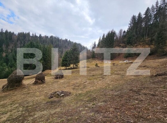 Teren de vânzare Scarisoara - 191923TV | BLITZ Alba Iulia | Poza1