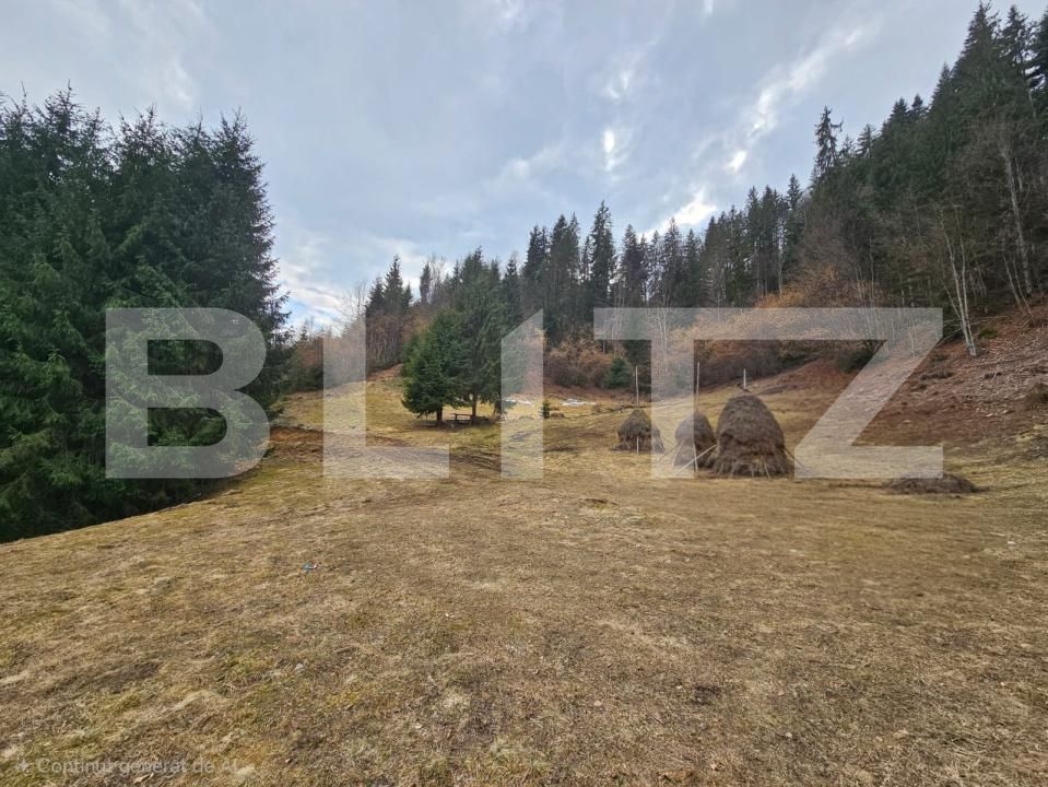 Teren de vânzare Scarisoara - 191923TV | BLITZ Alba Iulia | Poza2