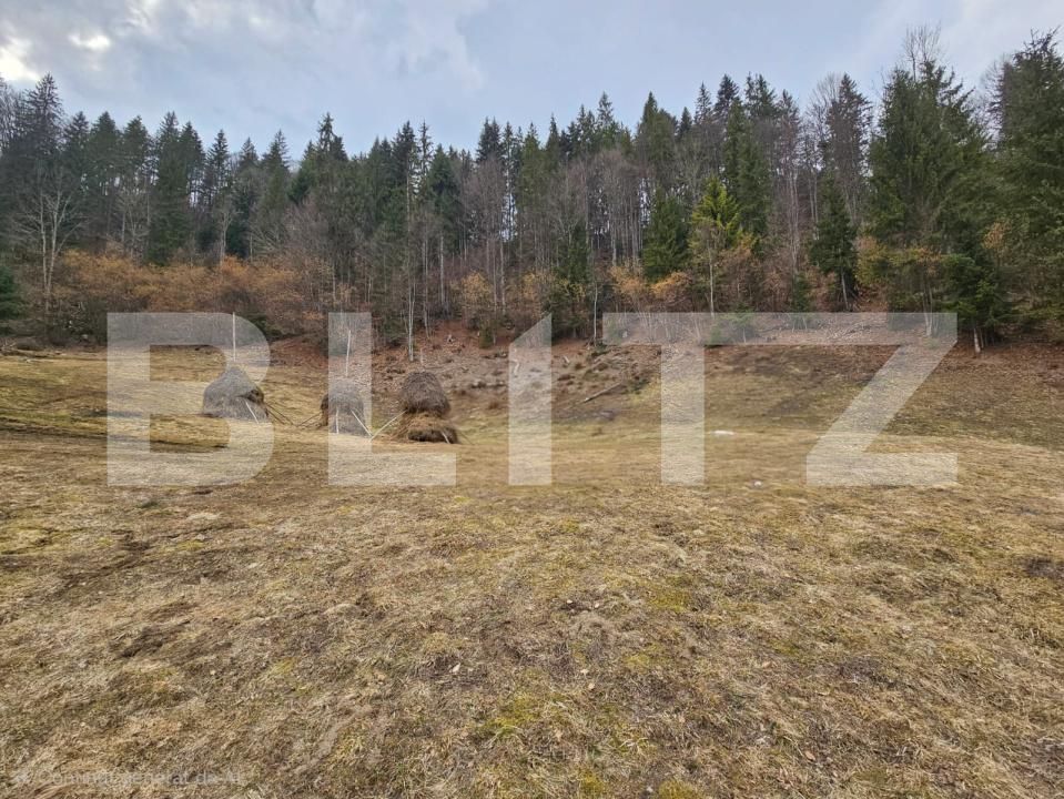 Teren de vânzare Scarisoara - 191923TV | BLITZ Alba Iulia | Poza4