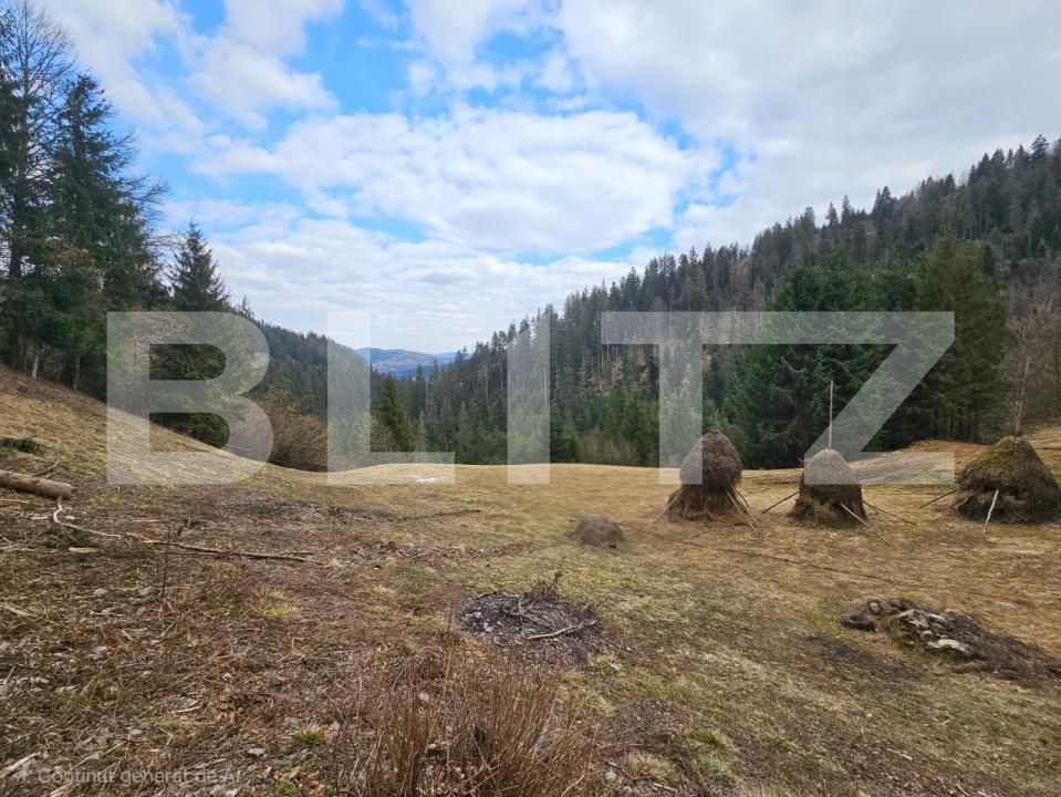 Teren de vânzare Scarisoara - 191923TV | BLITZ Alba Iulia | Poza3