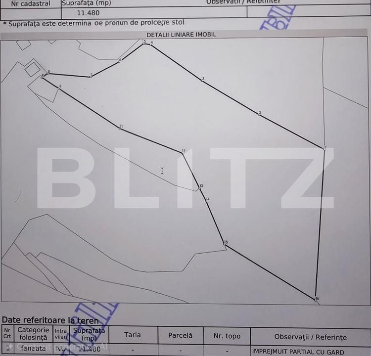 Teren de vânzare Scarisoara - 191923TV | BLITZ Alba Iulia | Poza5