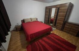 Casă 3 camere Șeusa | 135 mp utili | 754 mp teren | 2 fronturi