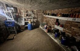 Casă 3 camere Șeusa | 135 mp utili | 754 mp teren | 2 fronturi