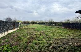 Casă premium | 4 dormitoare | 2000 mp teren | zona Centru