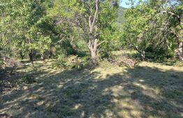 Teren intravilan 4.175 mp în Inuri – ideal cabană/casă de vacanță