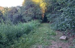 Teren intravilan 4.175 mp în Inuri – ideal cabană/casă de vacanță