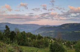 Teren intravilan 4.175 mp în Inuri – ideal cabană/casă de vacanță