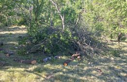 Teren intravilan 4.175 mp în Inuri – ideal cabană/casă de vacanță