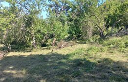 Teren intravilan 4.175 mp în Inuri – ideal cabană/casă de vacanță