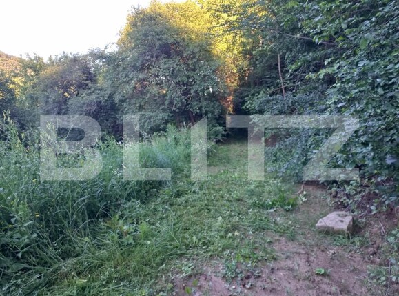 Teren de vânzare Vinţu de Jos - 192052TV | BLITZ Alba Iulia | Poza7