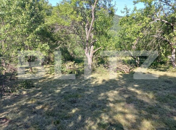 Teren de vânzare Vinţu de Jos - 192052TV | BLITZ Alba Iulia | Poza1