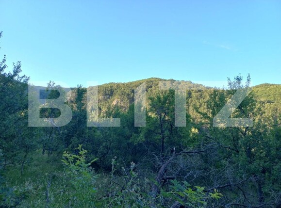 Teren de vânzare Vinţu de Jos - 192052TV | BLITZ Alba Iulia | Poza4