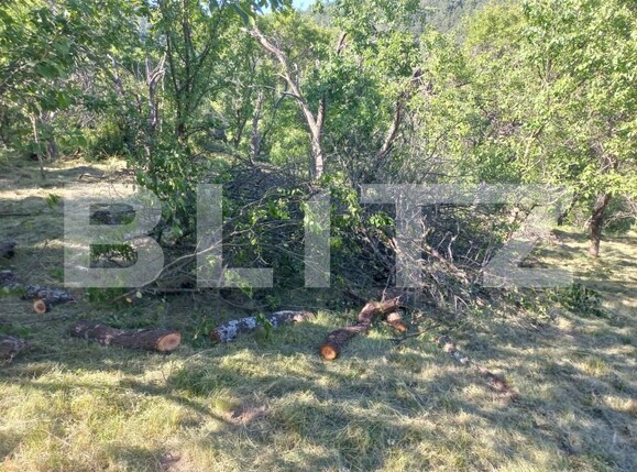 Teren de vânzare Vinţu de Jos - 192052TV | BLITZ Alba Iulia | Poza3