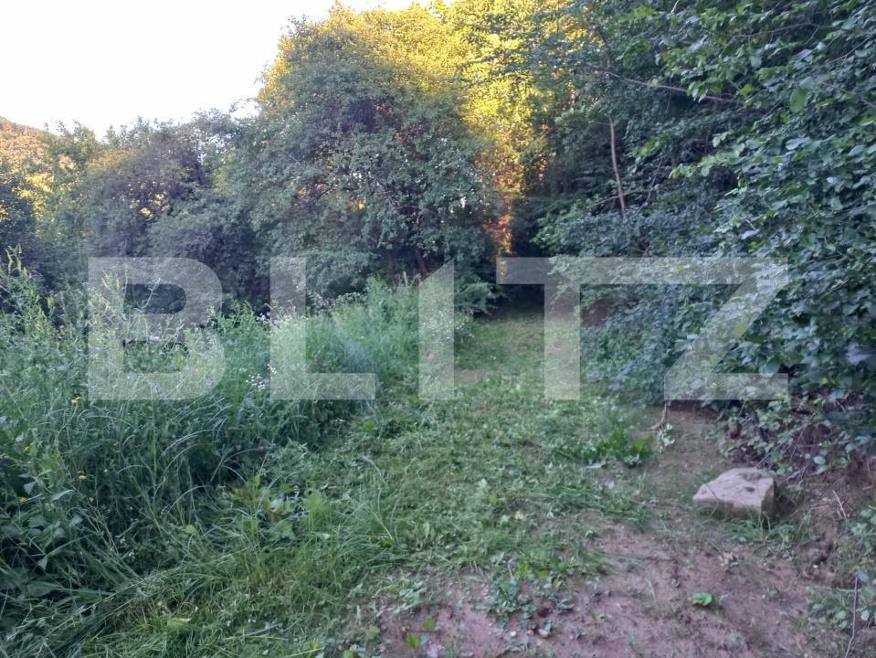 Teren de vânzare Vinţu de Jos - 192052TV | BLITZ Alba Iulia | Poza7