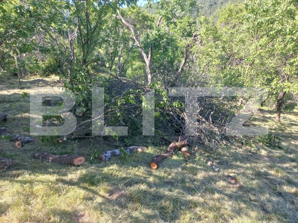 Teren de vânzare Vinţu de Jos - 192052TV | BLITZ Alba Iulia | Poza3