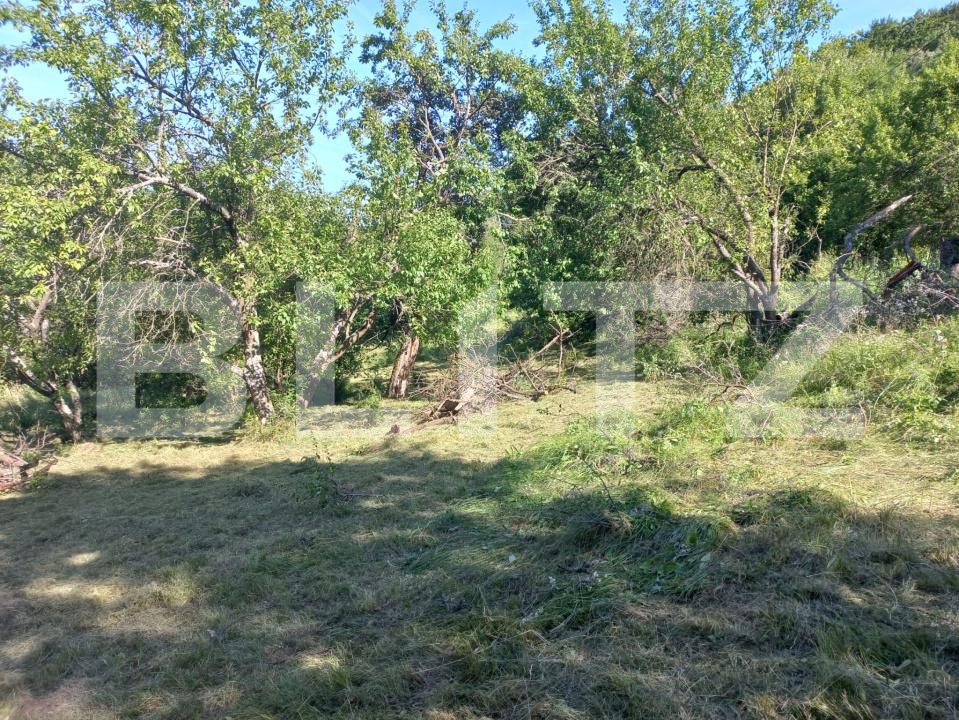 Teren de vânzare Vinţu de Jos - 192052TV | BLITZ Alba Iulia | Poza2