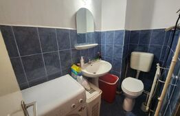 Apartament 2 camere, zona Cetate