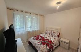 Apartament modern 2 camere, Renovat complet, Ocna Mureş