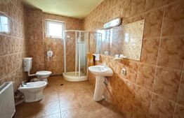 Casă spațioasă S+P+1+M în Cetate, Alba Iulia – ideală locuință sau sediu firmă