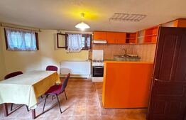 Casă spațioasă S+P+1+M în Cetate, Alba Iulia – ideală locuință sau sediu firmă