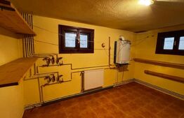 Casă spațioasă S+P+1+M în Cetate, Alba Iulia – ideală locuință sau sediu firmă