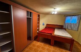 Casă spațioasă S+P+1+M în Cetate, Alba Iulia – ideală locuință sau sediu firmă