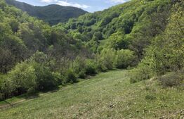 Teren extravilan, 9.083 mp, peisaj superb și liniște totală, zona Meteș