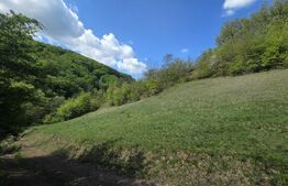 Teren extravilan, 9.083 mp, peisaj superb și liniște totală, zona Meteș