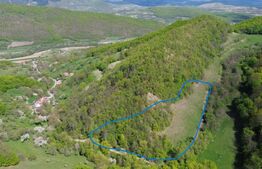 Teren extravilan, 9.083 mp, peisaj superb și liniște totală, zona Meteș