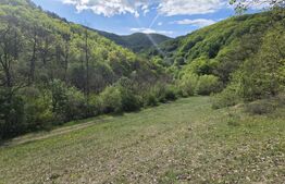 Teren extravilan, 9.083 mp, peisaj superb și liniște totală, zona Meteș