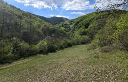 Teren extravilan, 9.083 mp, peisaj superb și liniște totală, zona Meteș