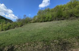 Teren extravilan, 9.083 mp, peisaj superb și liniște totală, zona Meteș