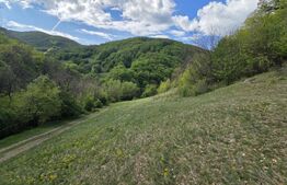 Teren extravilan, 9.083 mp, peisaj superb și liniște totală, zona Meteș