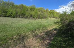 Teren extravilan, 9.083 mp, peisaj superb și liniște totală, zona Meteș