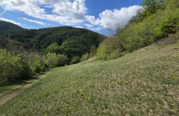 Teren extravilan, 9.083 mp, peisaj superb și liniște totală, zona Meteș