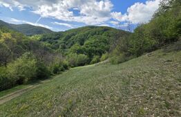 Teren extravilan, 9.083 mp, peisaj superb și liniște totală, zona Meteș