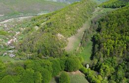 Teren extravilan, 9.083 mp, peisaj superb și liniște totală, zona Meteș