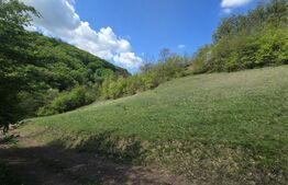 Teren extravilan, 9.083 mp, peisaj superb și liniște totală, zona Meteș