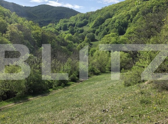 Teren de vânzare  Exterior Est - 193716TV | BLITZ Alba Iulia | Poza7