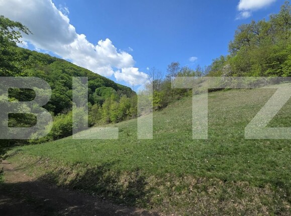 Teren de vânzare  Exterior Est - 193716TV | BLITZ Alba Iulia | Poza15