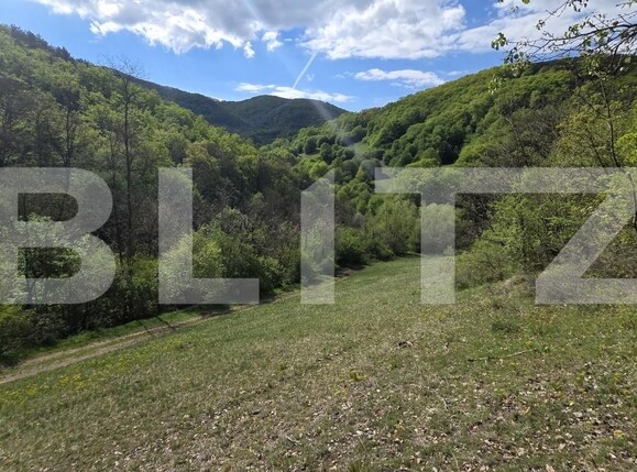 Teren de vânzare  Exterior Est - 193716TV | BLITZ Alba Iulia | Poza16