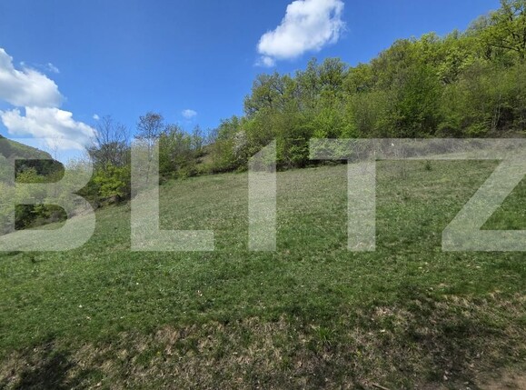 Teren de vânzare  Exterior Est - 193716TV | BLITZ Alba Iulia | Poza14