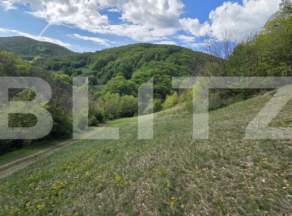 Teren de vânzare  Exterior Est - 193716TV | BLITZ Alba Iulia | Poza3