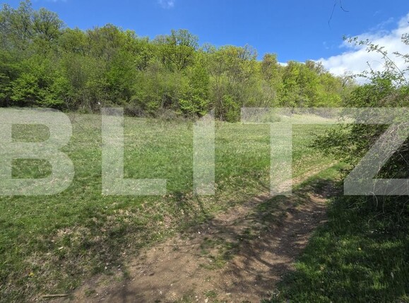 Teren de vânzare  Exterior Est - 193716TV | BLITZ Alba Iulia | Poza13